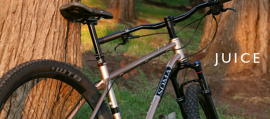 mountain bike among the trees around sunset